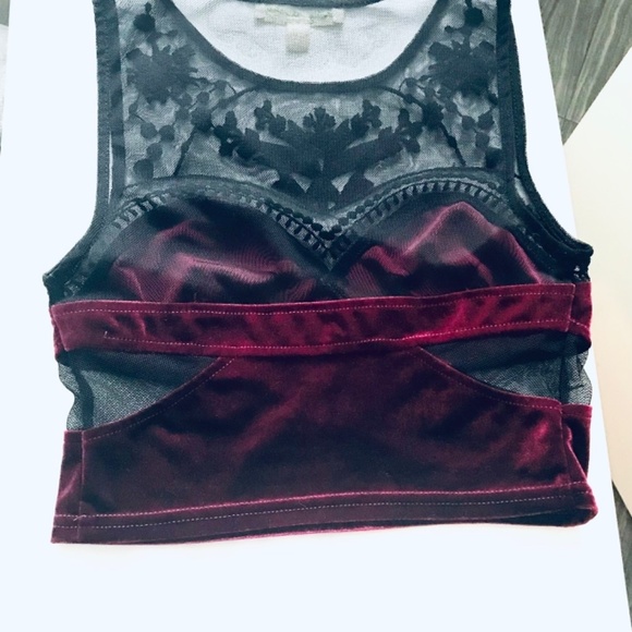 Staring at Stars Velvet and Lace Crop Top - Picture 6 of 7